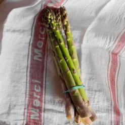 1700 COTEX Torchons-Torchon en lin lavé - Merci