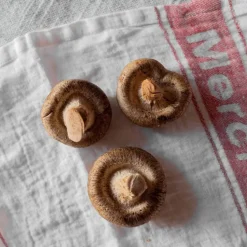 1700 COTEX Torchons-Torchon en lin lavé - Merci