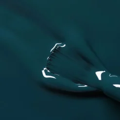 546 MANUCURIST Soins Des Mains|Soins Du Corps-Vernis à ongles Dark Clover - Manucurist