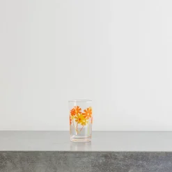 2061 ADERIA Verres À Eau-Verre à eau - Cosmos Orange