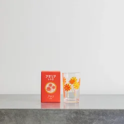 2061 ADERIA Verres À Eau-Verre à eau - Cosmos Orange